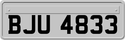 BJU4833