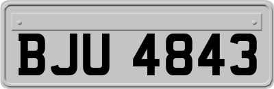 BJU4843