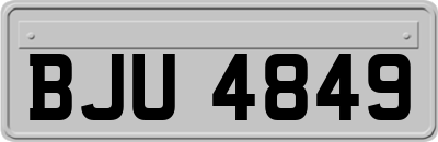 BJU4849