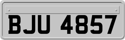 BJU4857
