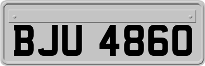 BJU4860