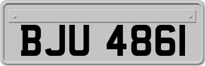 BJU4861