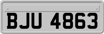 BJU4863