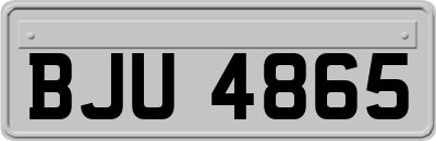 BJU4865