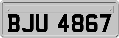 BJU4867