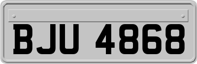 BJU4868