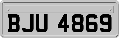 BJU4869