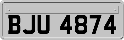 BJU4874