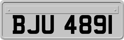 BJU4891