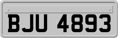 BJU4893