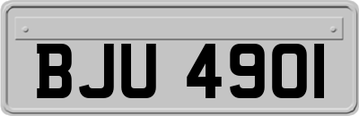 BJU4901