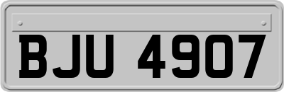 BJU4907