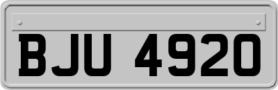 BJU4920
