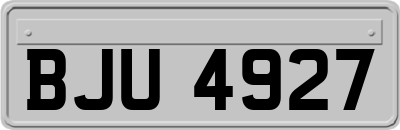 BJU4927