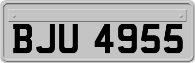 BJU4955
