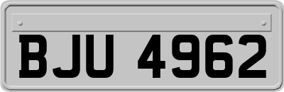 BJU4962