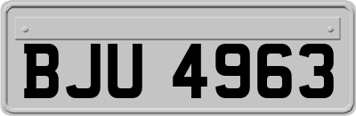 BJU4963