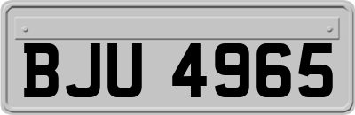 BJU4965
