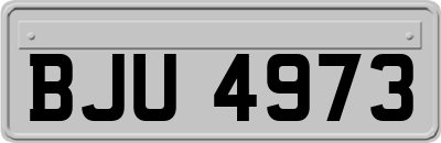 BJU4973