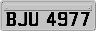 BJU4977