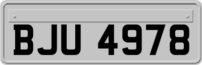 BJU4978