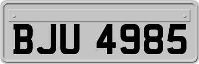 BJU4985