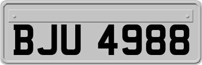 BJU4988