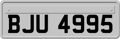 BJU4995