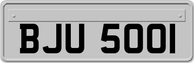 BJU5001