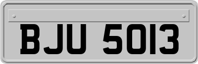 BJU5013
