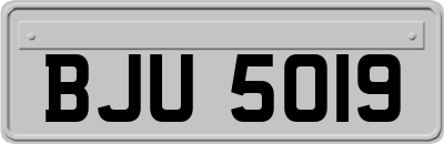 BJU5019