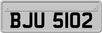 BJU5102