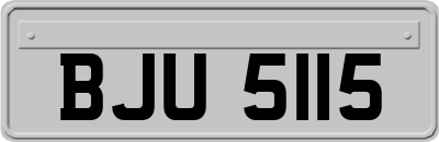 BJU5115