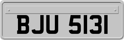 BJU5131