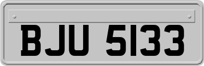 BJU5133