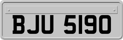 BJU5190
