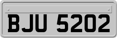 BJU5202