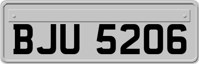 BJU5206