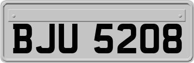 BJU5208
