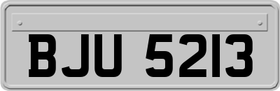 BJU5213