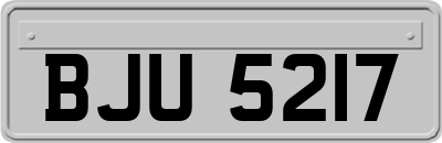 BJU5217