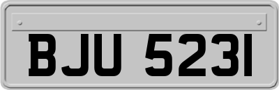 BJU5231