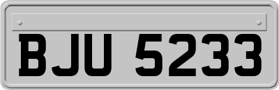 BJU5233
