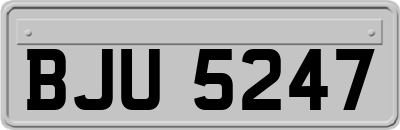 BJU5247