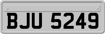 BJU5249