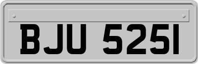 BJU5251