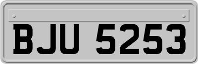 BJU5253
