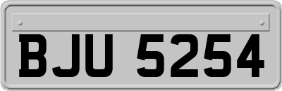 BJU5254