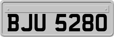 BJU5280