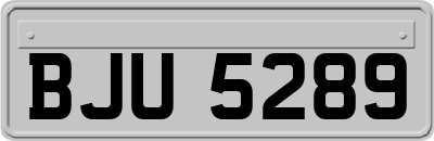 BJU5289